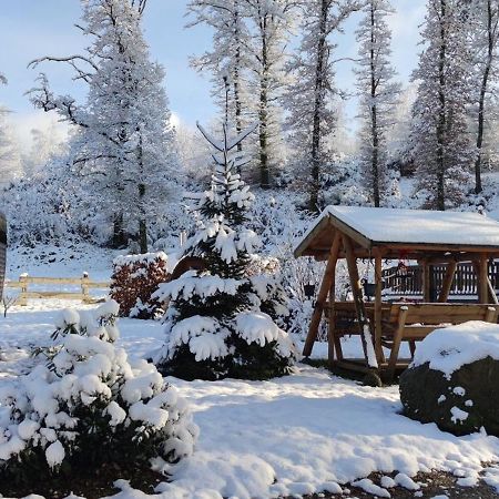 Ma roulotte sous les chênes- Au naturel Raon-aux-Bois Extérieur photo