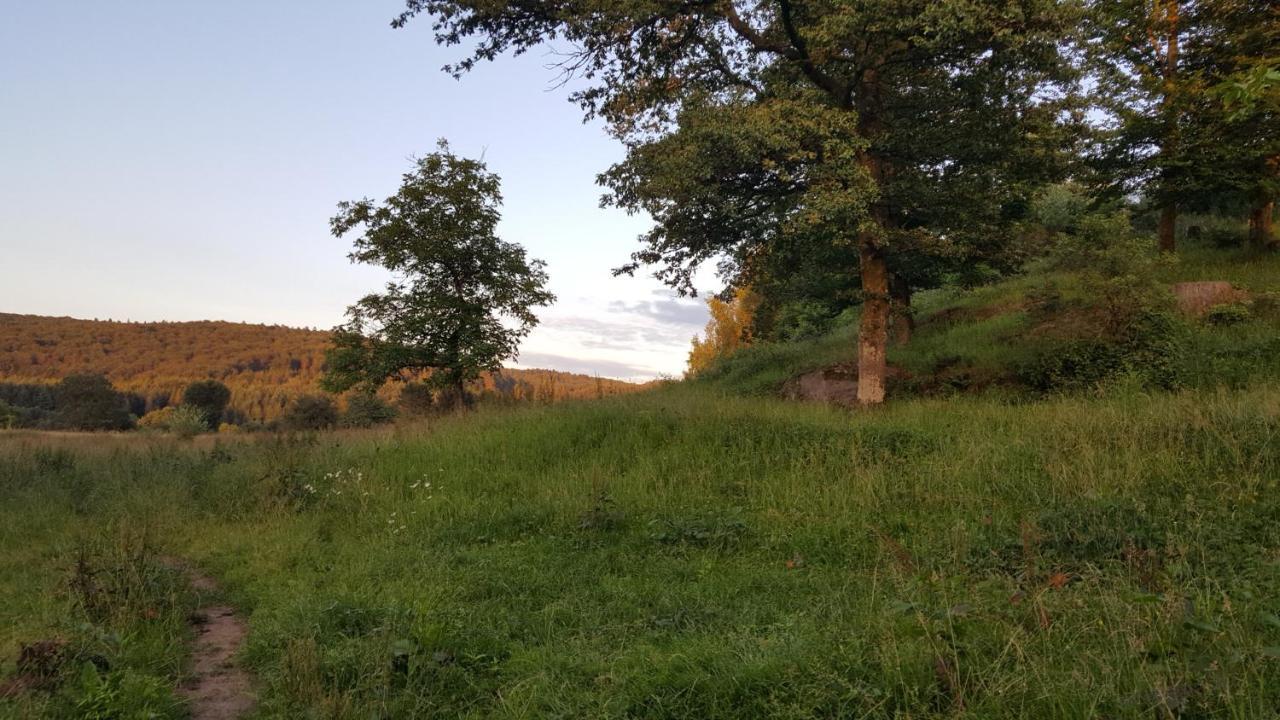 Ma roulotte sous les chênes- Au naturel Raon-aux-Bois Extérieur photo