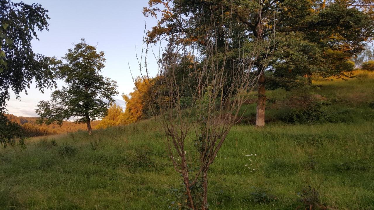 Ma roulotte sous les chênes- Au naturel Raon-aux-Bois Extérieur photo